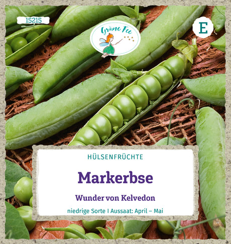 Grüne Fee Markerbse Wunder von Kelvedon