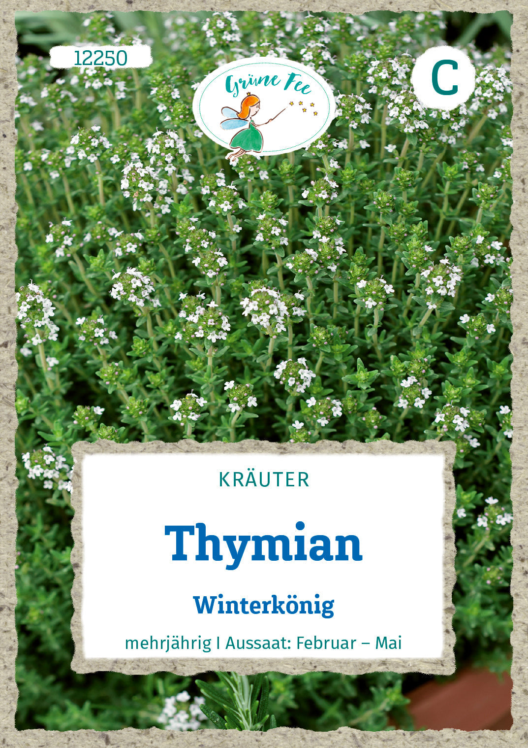Grüne Fee Thymian Deutscher Winter