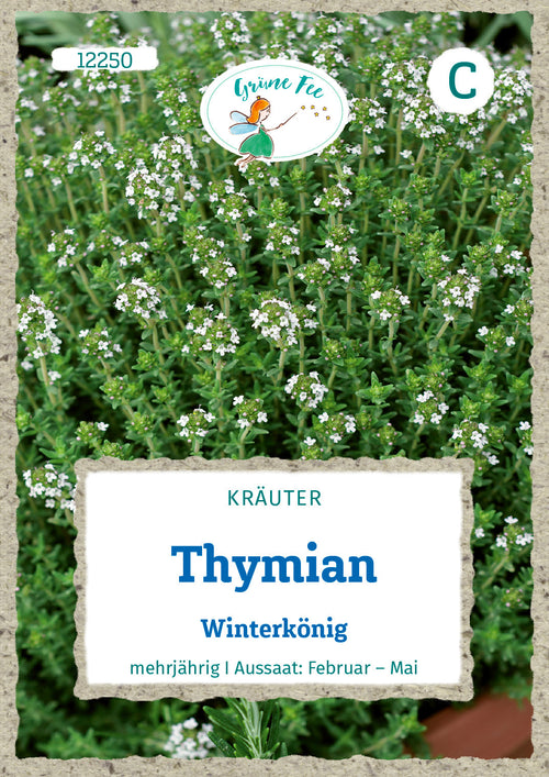 Grüne Fee Thymian Deutscher Winter