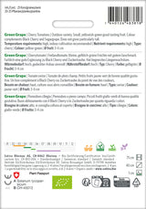Sativa Cherrytomate Green Grape