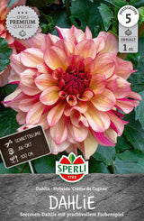 SPERLI Dahlie Dahlie Crème de Cognac