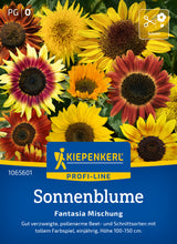 Kiepenkerl Sonnenblumen Fantasia Mischung