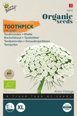 Buzzy Organic Seeds BIO Bischofskraut The Giant