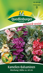 Quedlinburger Kamelien Balsaminen  Mischung