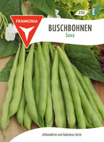 Frankonia Samen Buschbohnen Saxa