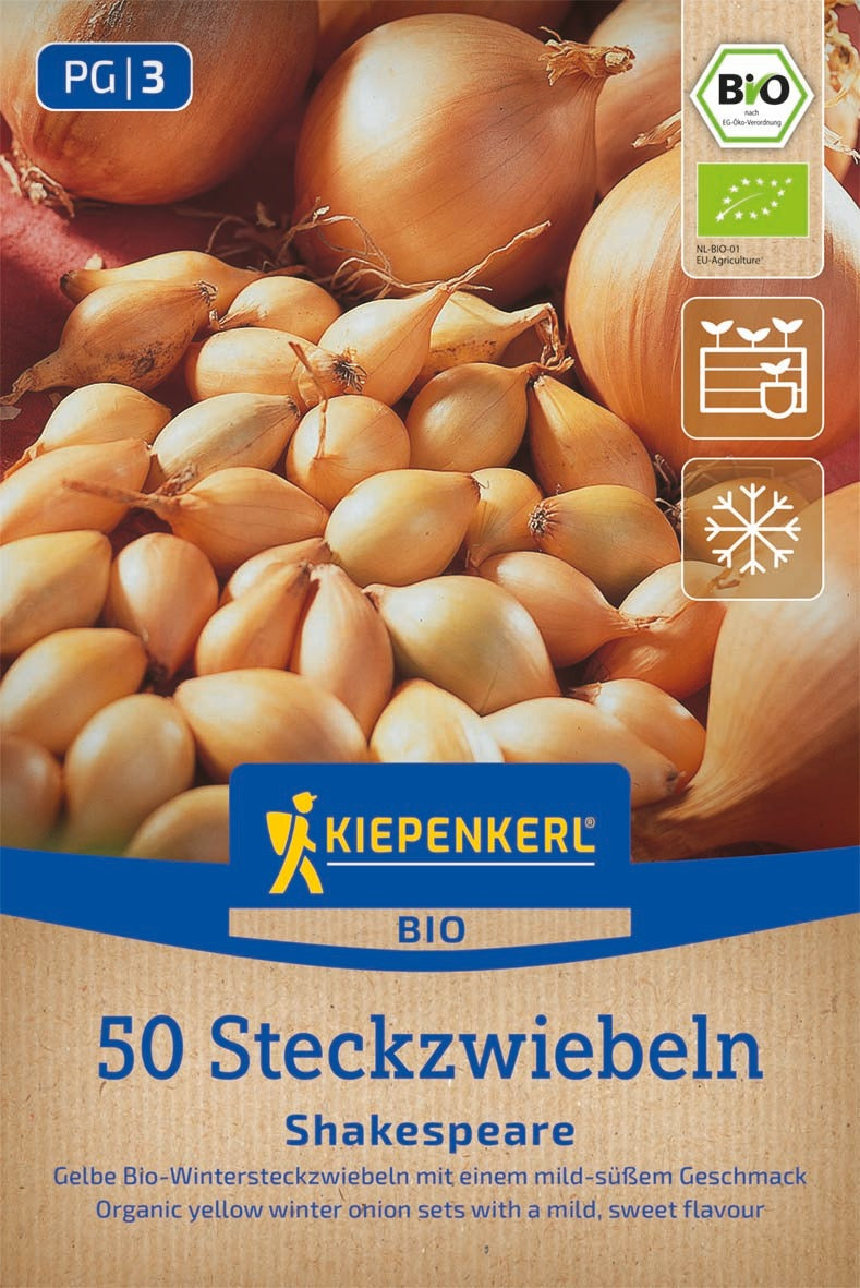 Kiepenkerl BIO Wintersteckzwiebel Shakespeare 50 Stück