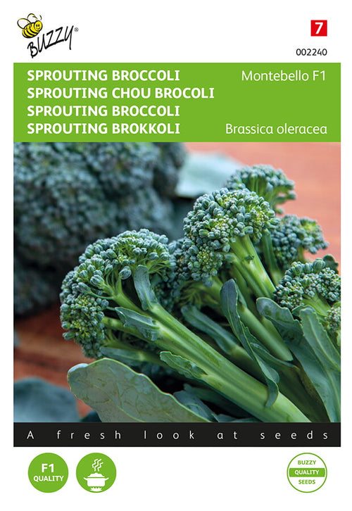 Buzzy Seeds Brokkoli Montebello F1