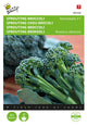 Buzzy Seeds Brokkoli Montebello F1