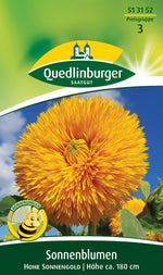 Quedlinburger Sonnenblume Hohe Sonnengold