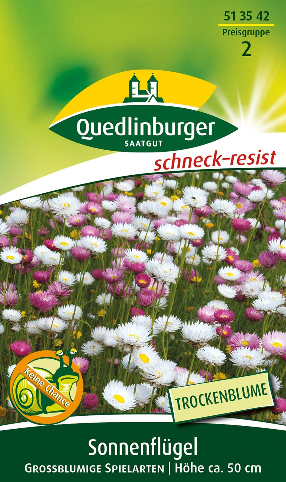 Quedlinburger Sonnenflügel für Florsitik grossblumige Spielarten