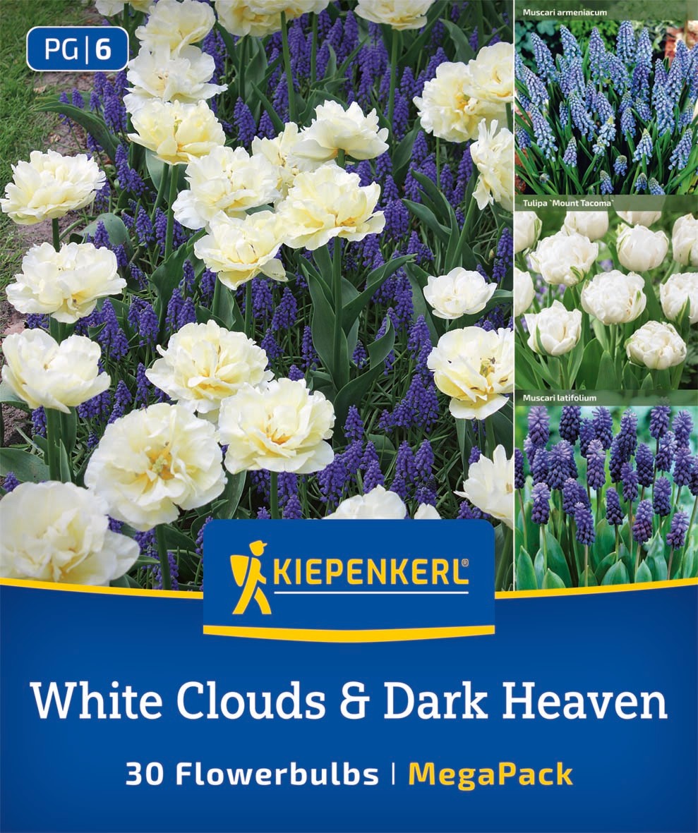 Mega Pack White Clouds & Dark Heaven