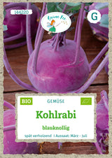 Grüne Fee Kohlrabi Azur Star