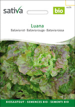 Sativa Bataviasalat rot Luana