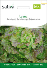 Sativa Bataviasalat rot Luana