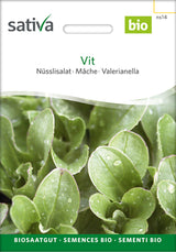 Sativa Nüsslisalat Vit