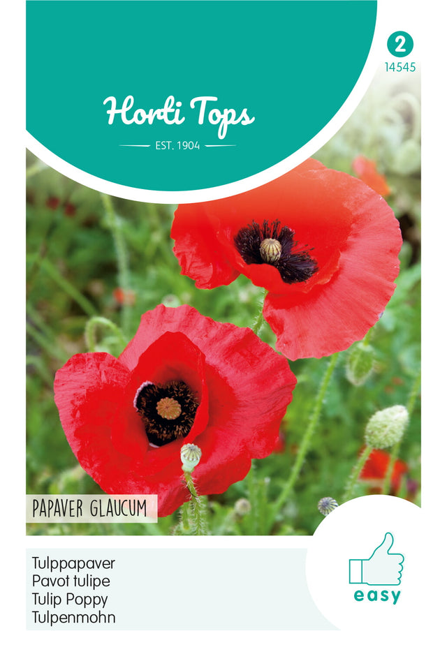Horti Tops Türkenmohn Glaucum, Rot mit schwarzem Fleck