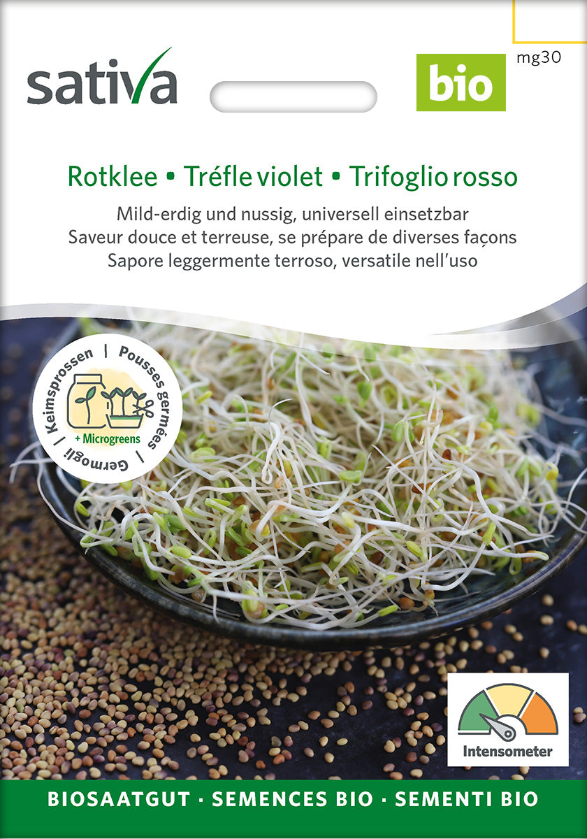 Sativa Keimsprossen Rotklee