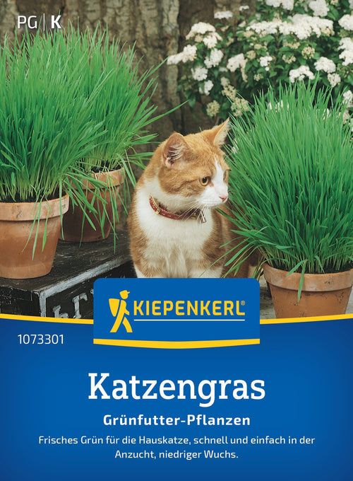 Kiepenkerl Gräser Katzengras Frischgrün Mischung Loses Saatgut