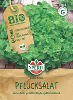 SPERLI BIO Pflück- & Schnittsalat Salad Bowl