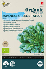 Buzzy Organic Seeds BIO Tatsoi Japanischer grüner