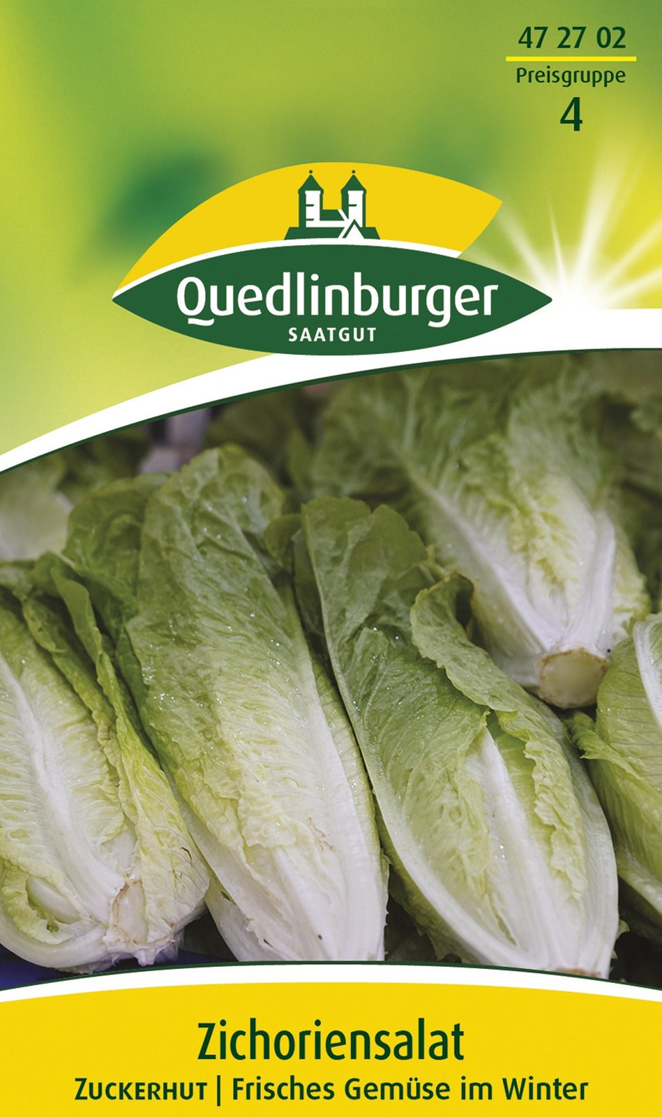 Quedlinburger Zichorensalat Zuckerhut