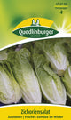 Quedlinburger Zichorensalat Zuckerhut