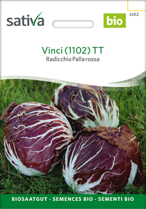 Sativa Radicchio Palla rossa Vinci (1102) TT