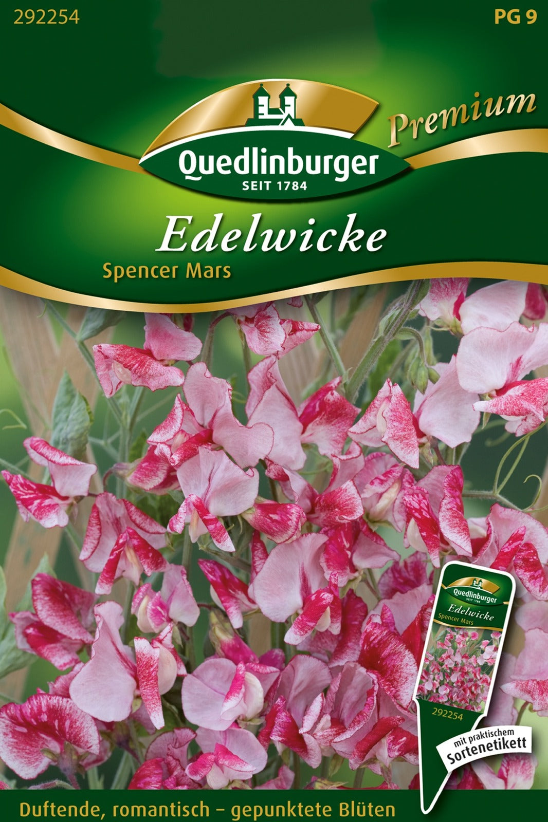 Quedlinburger Duftwicke Spencer Mars