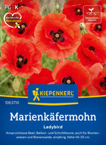 Kiepenkerl Mohn Ladybird