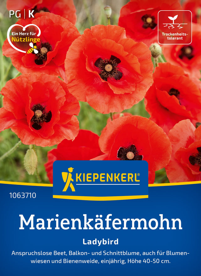 Kiepenkerl Mohn Ladybird
