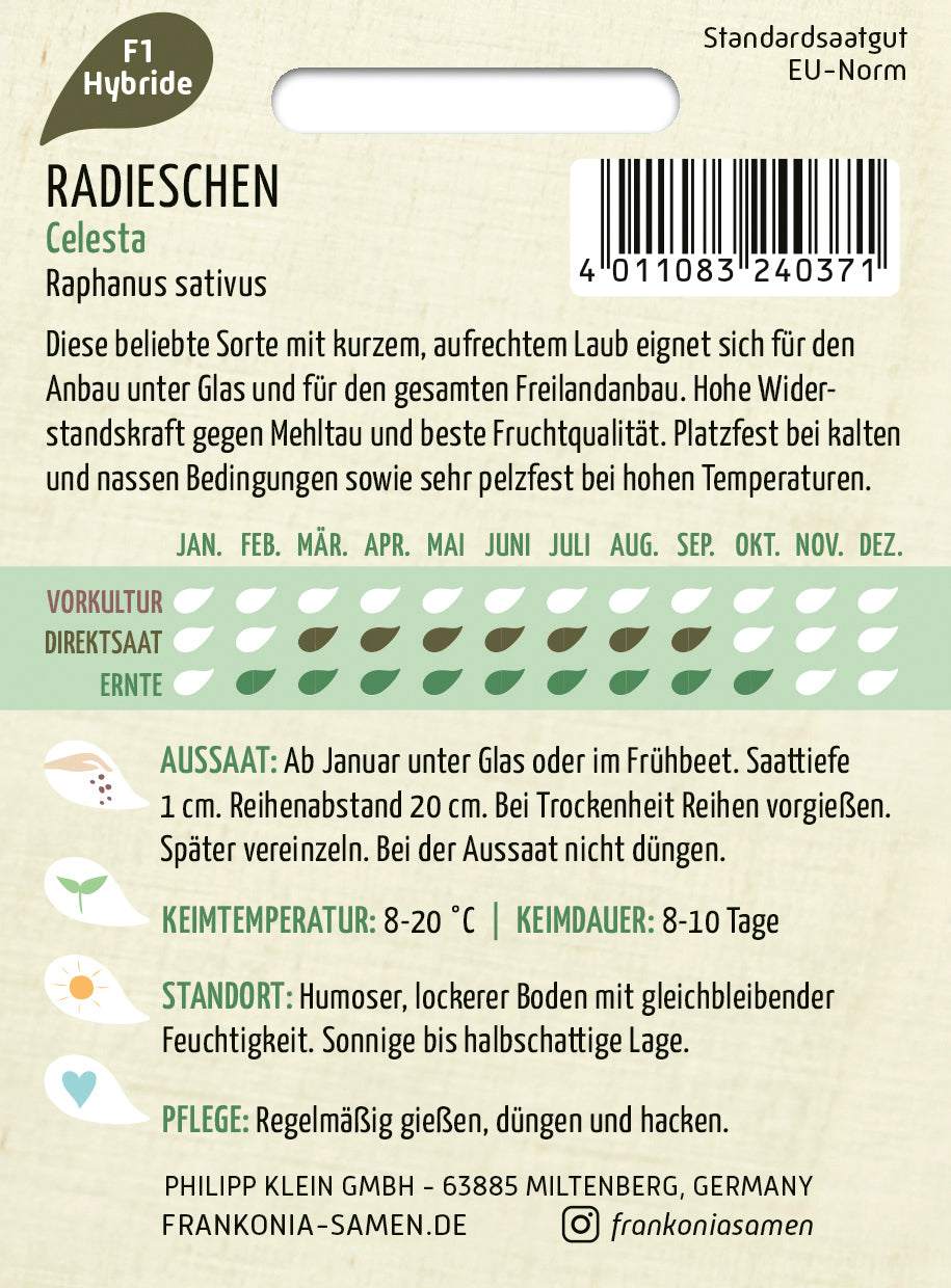Frankonia Samen Radieschen Celesta