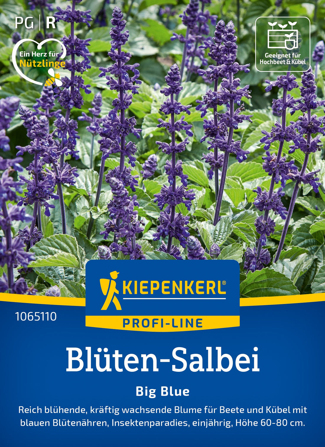 Kiepenkerl Salbei Big Blue