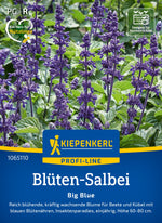 Kiepenkerl Salbei Big Blue