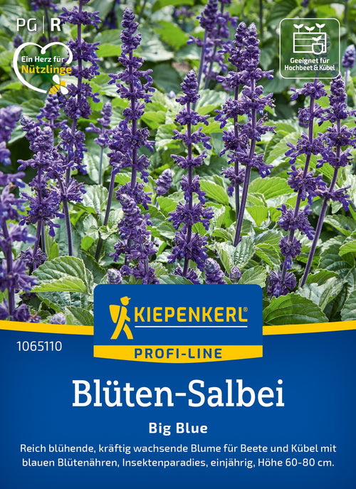 Kiepenkerl Salbei Big Blue
