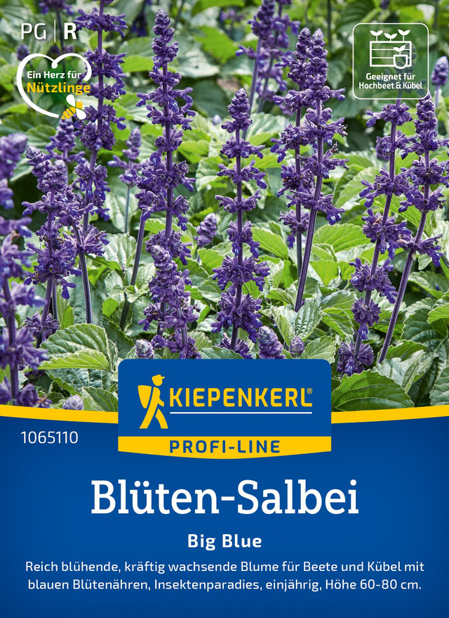 Kiepenkerl Salbei Big Blue