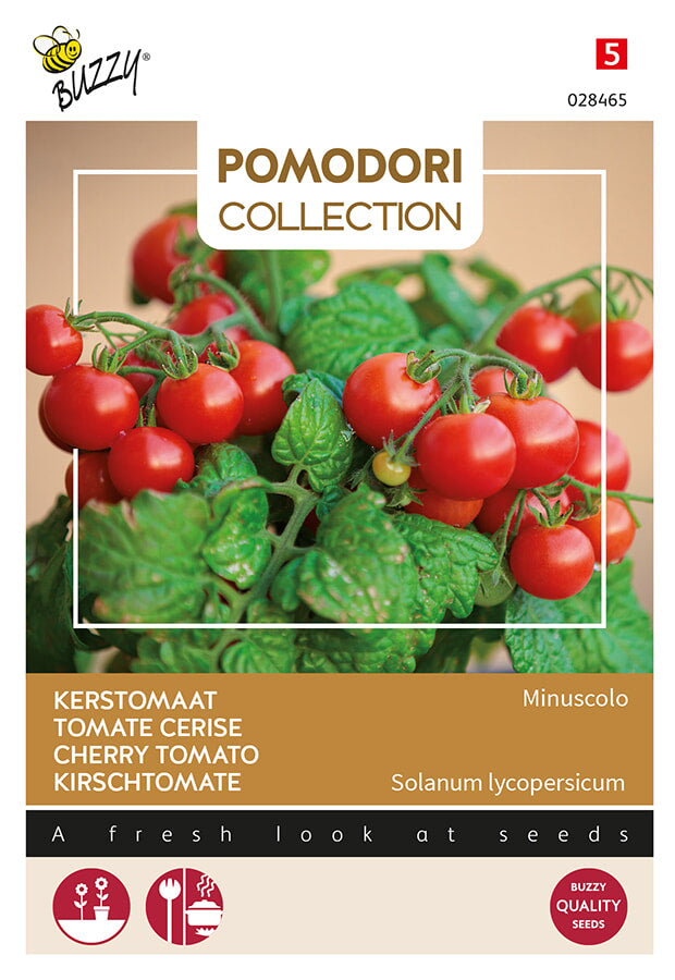 Buzzy Seeds Tomate Micro Tom