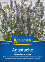 Kiepenkerl Agastache Koreanische Minze