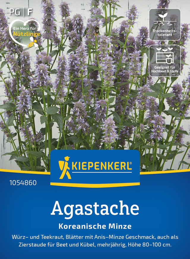 Kiepenkerl Agastache Koreanische Minze