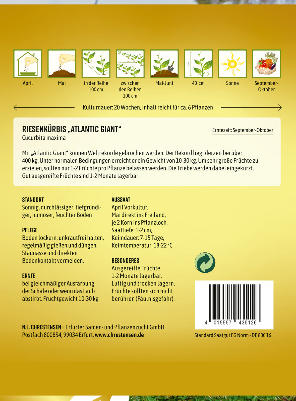 N.L. Chrestensen Riesenkürbis Atlantic Giant