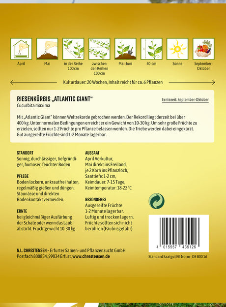 N.L. Chrestensen Riesenkürbis Atlantic Giant