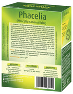 Quedlinburger Gründüngung Phacelia