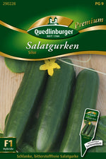 Quedlinburger Freiland-Salatgurke Silor