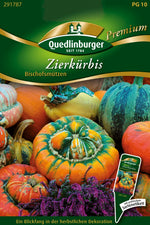 Quedlinburger Zierkürbis Bischofsmützen