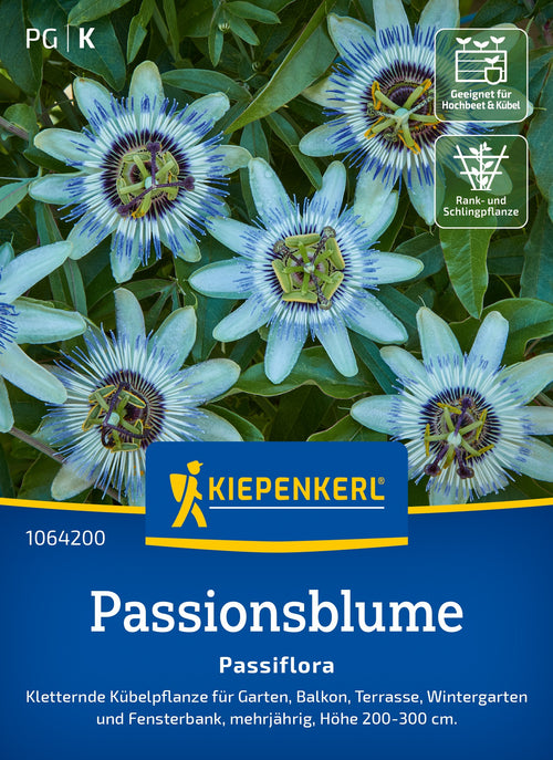 Kiepenkerl Passionsblume Passiflora