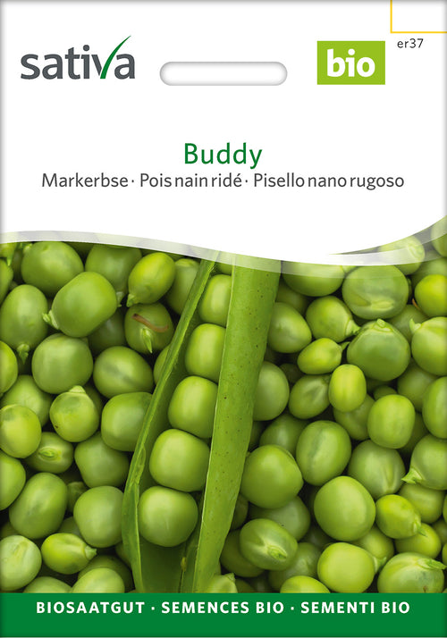 Sativa BIO Markerbse Buddy