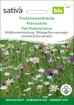 Sativa Wildblumenmischung Trockenwiesenkräuter