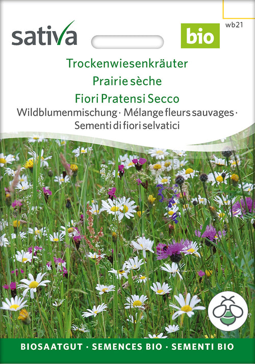 Sativa Wildblumenmischung Trockenwiesenkräuter