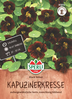 SPERLI Kapuzinerkresse Black Velvet