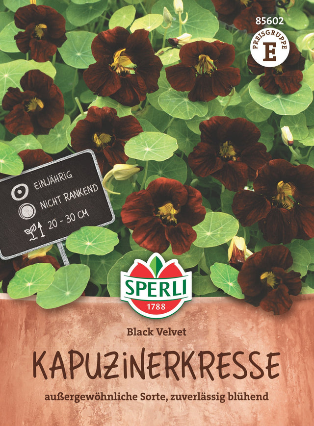 SPERLI Kapuzinerkresse Black Velvet