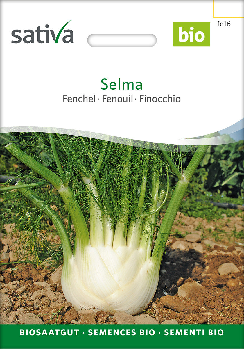 Sativa Fenchel Selma